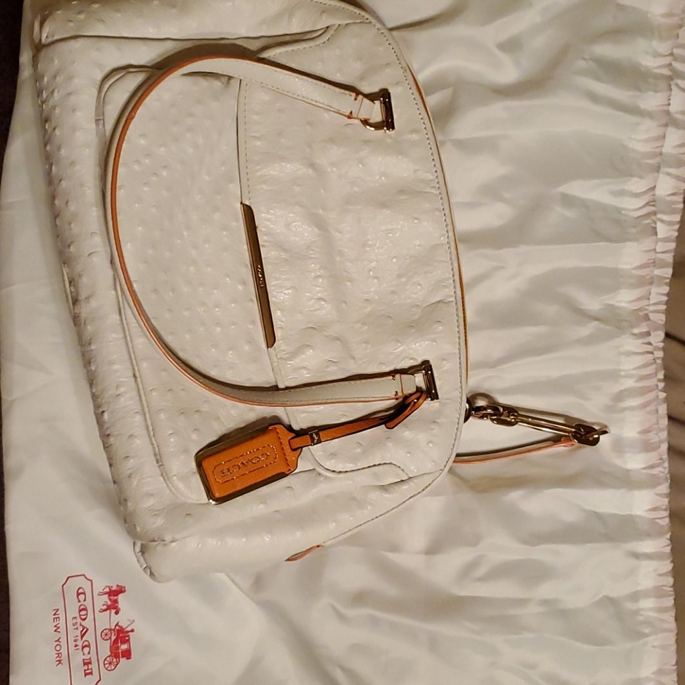 Ostrich Coach Purse